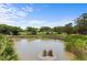 Peaceful pond view surrounded by lush greenery, trees, and a clear blue sky with clouds at 811 Treeloft Trce, Seabrook Island, SC 29455