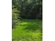 Backyard featuring lush green grass at 8930 Selah St, North Charleston, SC 29406