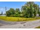 Street view of a commercial lot, featuring mature trees and a glimpse of the surrounding neighborhood at 9612 Hoot Owl Ave, Ladson, SC 29456