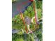 Aerial view showing the house and its location to a pond with a defined property line at 115 Old Postern Rd, Summerville, SC 29483