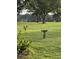 Beautifully maintained backyard featuring large trees and a bird bath for added charm at 1199 Parkway Drive, Mount Pleasant, SC 29464