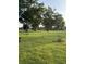 Lush backyard featuring mature trees and a well-kept lawn that enhances outdoor living at 1199 Parkway Drive, Mount Pleasant, SC 29464