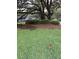 Lush front yard featuring vibrant green grass, mature trees and landscaping, enhancing the home's curb appeal at 1199 Parkway Drive, Mount Pleasant, SC 29464