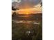 Scenic sunset view over the wetlands, creating a serene and picturesque landscape, surrounded by trees at 123 Jungle Rd, Edisto Island, SC 29438