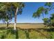 Breathtaking marsh view, offering serenity and natural beauty, perfect for nature enthusiasts at 123 Jungle Rd, Edisto Island, SC 29438