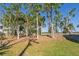 This grassy yard is shaded by a variety of mature trees and palms at 123 Jungle Rd, Edisto Island, SC 29438