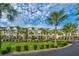 Exterior of townhomes featuring a well-maintained lawn, mature landscaping, palm trees, and vehicle parking at 1253 Dingle Rd, Mount Pleasant, SC 29466