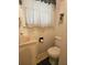 Bathroom featuring a toilet, sink, window with white lace curtains and peeling paint at 126 Rattlensnake Trl, Walterboro, SC 29488