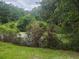 Picturesque scene of a pond surrounded by verdant foliage and trees at 126 Rattlensnake Trl, Walterboro, SC 29488