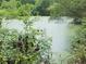 Scenic view of a tranquil pond surrounded by lush greenery at 126 Rattlensnake Trl, Walterboro, SC 29488