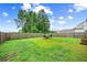 Expansive backyard featuring thriving green grass, a privacy fence, and a cozy seating area at 141 Sweet Cherry Ln, Summerville, SC 29486