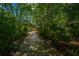 The long driveway is framed by mature trees and lush foliage at 1520 Regimental Ln, Johns Island, SC 29455