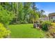 Backyard with a lush lawn, landscaped area with grill and a variety of plants and trees at 206 President Cir, Summerville, SC 29483