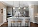 Modern kitchen featuring a large island, stainless steel appliances, and stylish pendant lighting at 2234 Kemmerlin St, Johns Island, SC 29455