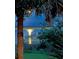 A calming waterfront view through tropical plants showcases stunning lights reflecting on the water at 2287 Shoreline Dr, Johns Island, SC 29455