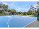 Outdoor basketball court featuring a vibrant blue playing surface and well-maintained hoops and court lines at 4630 Palm View Cir, North Charleston, SC 29418