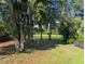Picturesque backyard view of a pond, framed by trees draped with Spanish moss at 5256 Mulholland Dr, Summerville, SC 29485