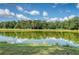 Scenic view of a pond surrounded by lush trees and vegetation at 5256 Mulholland Dr, Summerville, SC 29485