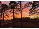 Backyard view framed by trees, with a bridge crossing the marshland against a colorful sunset at 79 Trailing Vine Way, Kiawah Island, SC 29455