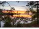 Scenic sunset reflecting over the water with trees and a wooden dock at 79 Trailing Vine Way, Kiawah Island, SC 29455