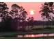 Scenic sunset view of a marsh with the sun reflecting off the water, framed by silhouetted trees at 79 Trailing Vine Way, Kiawah Island, SC 29455