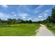 Expansive green landscape with trees under a blue sky with clouds at 104 Queens Ct, Summerville, SC 29485
