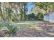 Large backyard with a chain-link fence and natural foliage at 1525 Westmoreland Ave, Charleston, SC 29412