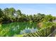 Picturesque pond surrounded by lush trees and vegetation, offering a tranquil natural view at 158 Balsam Cir, Summerville, SC 29485