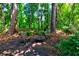 Backyard firepit sitting area with two chairs, surrounded by lush trees and foliage in a private outdoor space at 1872 Staffwood Rd, Johns Island, SC 29455