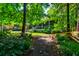 Backyard view of a home's screened porch that overlooks a lush yard with mature trees, flowering plants, and grass at 1872 Staffwood Rd, Johns Island, SC 29455