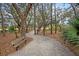 Beautiful walking trail surrounded by lush trees and foliage, providing a peaceful retreat for residents and their pets at 225 Seven Farms Dr # 307, Daniel Island, SC 29492