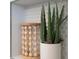 Alcove with succulents and cylindrical display on penny tile adds spa detail to this modern bathroom at 2704 Orchid Ave, North Charleston, SC 29405