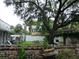 Large backyard with established trees and attractive yard features at 30 Society St, Charleston, SC 29401