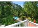 Aerial view of a private pool surrounded by lush landscaping and tall trees at 3171 Pignatelli Cres, Mount Pleasant, SC 29466