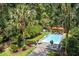 Backyard retreat featuring a pristine pool, lounge area, and flourishing tropical plants at 3171 Pignatelli Cres, Mount Pleasant, SC 29466