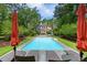 Secluded backyard pool area with lounge chairs, umbrellas, and a lush, landscaped setting at 3171 Pignatelli Cres, Mount Pleasant, SC 29466