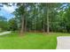 Expansive green lawn with towering trees and well-maintained landscaping, offering a peaceful and private outdoor area at 3171 Pignatelli Cres, Mount Pleasant, SC 29466