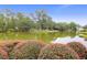 Picturesque pond view with lush trees, vibrant pink bushes, and tranquil scenery at 391 Evian Way, Mount Pleasant, SC 29464
