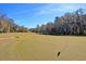 Golf course green with a blue flag in the hole, a sand trap, and bordered by trees at 5105 Parrum Ct, Summerville, SC 29485