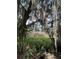 Scenic view of a marsh visible through hanging moss at 578 Island Walk East, Mount Pleasant, SC 29464