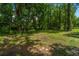 View of the wooded backyard with large mature trees and natural vegetation, creating a private and peaceful outdoor retreat at 610 Old Golf Rd, Summerville, SC 29483