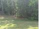 View of an expansive green backyard with lush trees and landscaping at 7763 Park Gate Dr, North Charleston, SC 29418