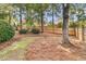 Backyard view of well-maintained landscaping and fenced perimeter at 8618 Woodland Walk, North Charleston, SC 29420