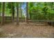 Backyard showing mature trees and a fenced-in yard at 105 Spring St, Summerville, SC 29485