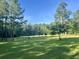 Picturesque backyard with mature trees, lush green grass, and a tranquil pond at 1173 Penny Creek Dr, Ruffin, SC 29475