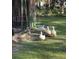 Four white ducks standing side by side on the grass next to a chicken coop at 1173 Penny Creek Dr, Ruffin, SC 29475