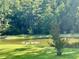 Picturesque pond featuring ducks swimming peacefully and lush green grass surrounding the water at 1173 Penny Creek Dr, Ruffin, SC 29475
