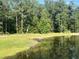 Scenic pond featuring lush green grass and mature trees surrounding the water at 1173 Penny Creek Dr, Ruffin, SC 29475
