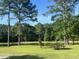 Beautiful pond surrounded by lush greenery and trees, perfect for relaxation at 1173 Penny Creek Dr, Ruffin, SC 29475