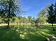 Scenic pond surrounded by lush green grass and mature trees on a sunny day at 1173 Penny Creek Dr, Ruffin, SC 29475